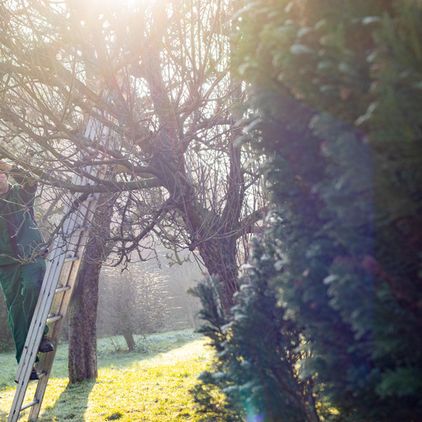 Cord Wenke Natur- und Landschaftspflege