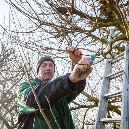 Cord Wenke Natur- und Landschaftspflege